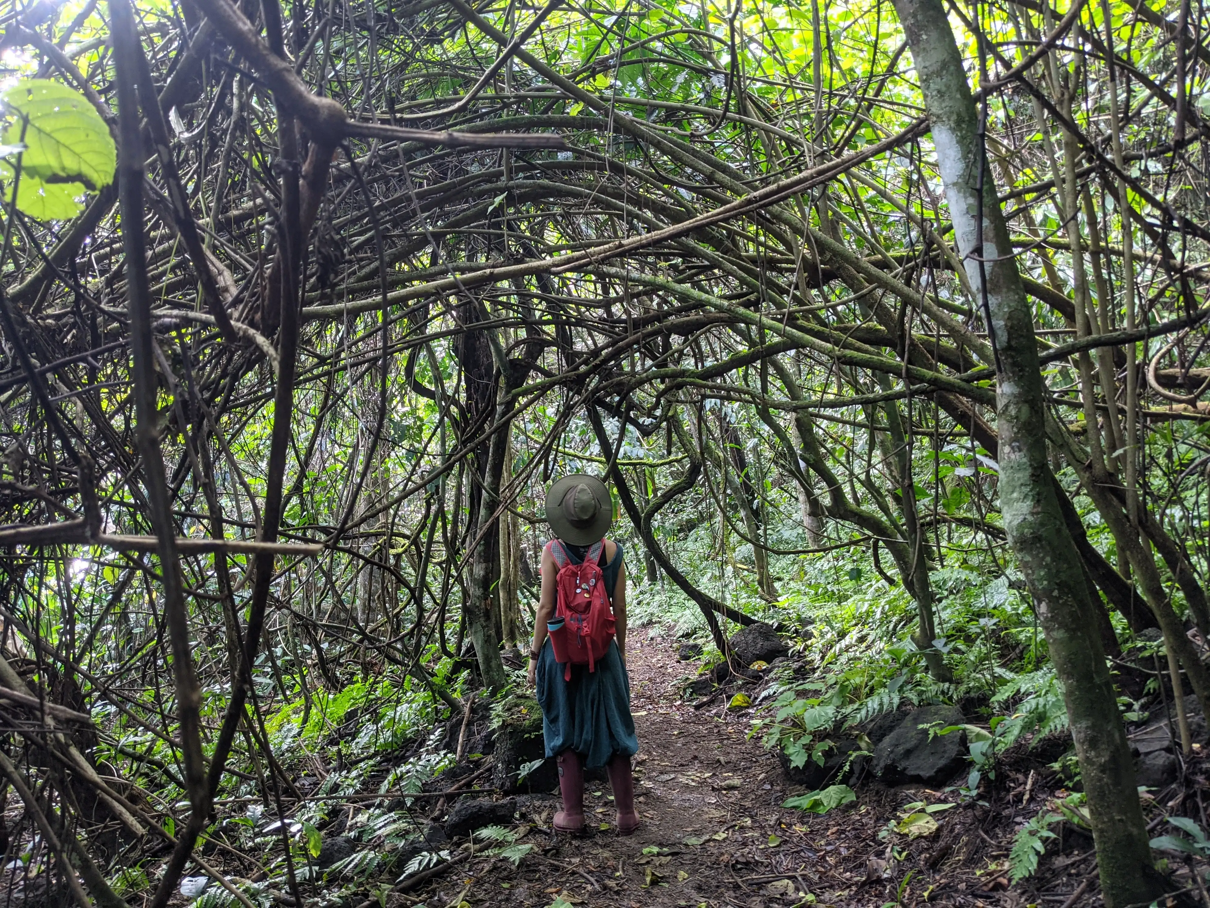A sunset over the ocean at Corcovado.