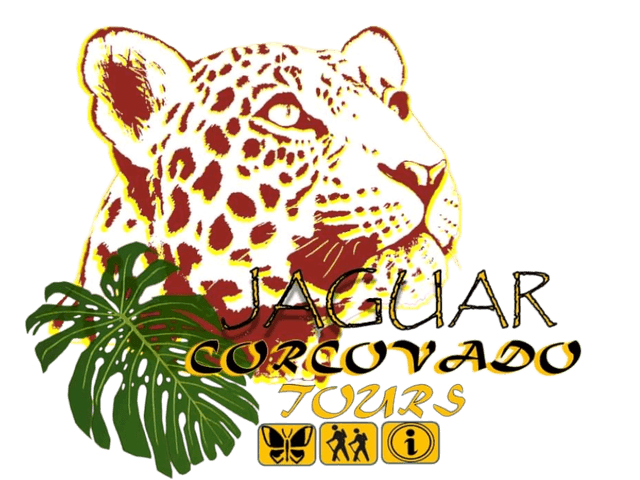 Jaguar Corcovado Tours