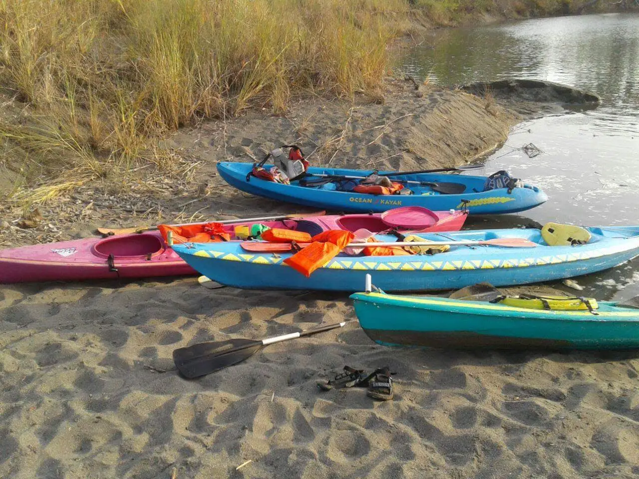 Small boat on a jungle river.