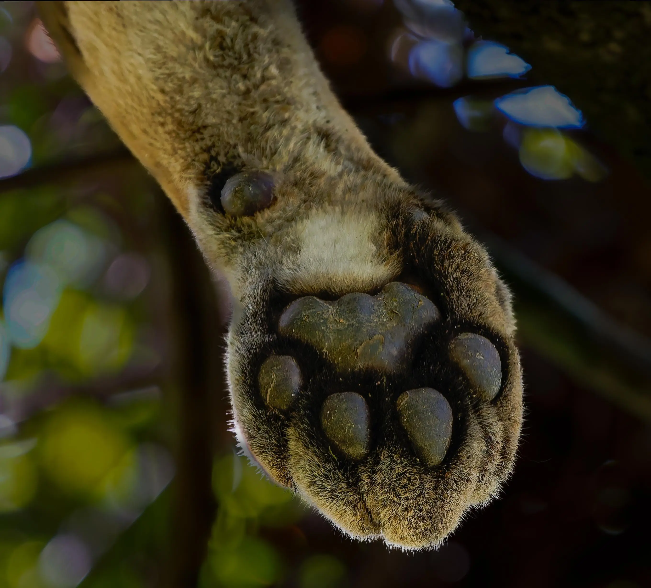 Scenic view of a tropical beach in Costa Rica.