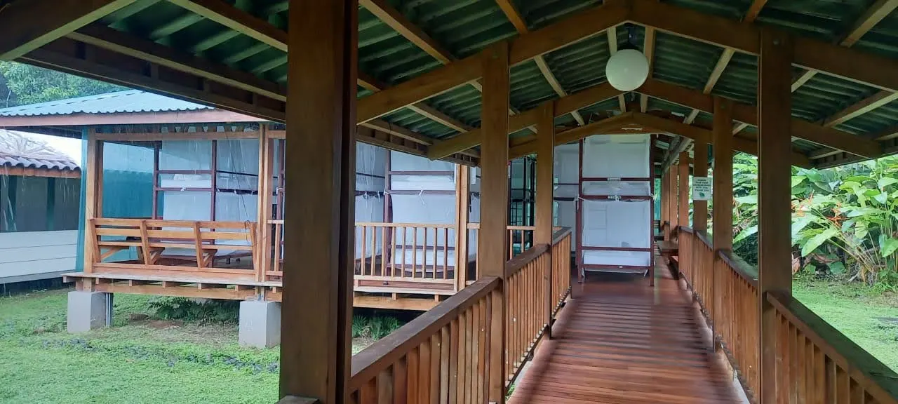 Image 1 for PJ-Sirena-La Leona tour.