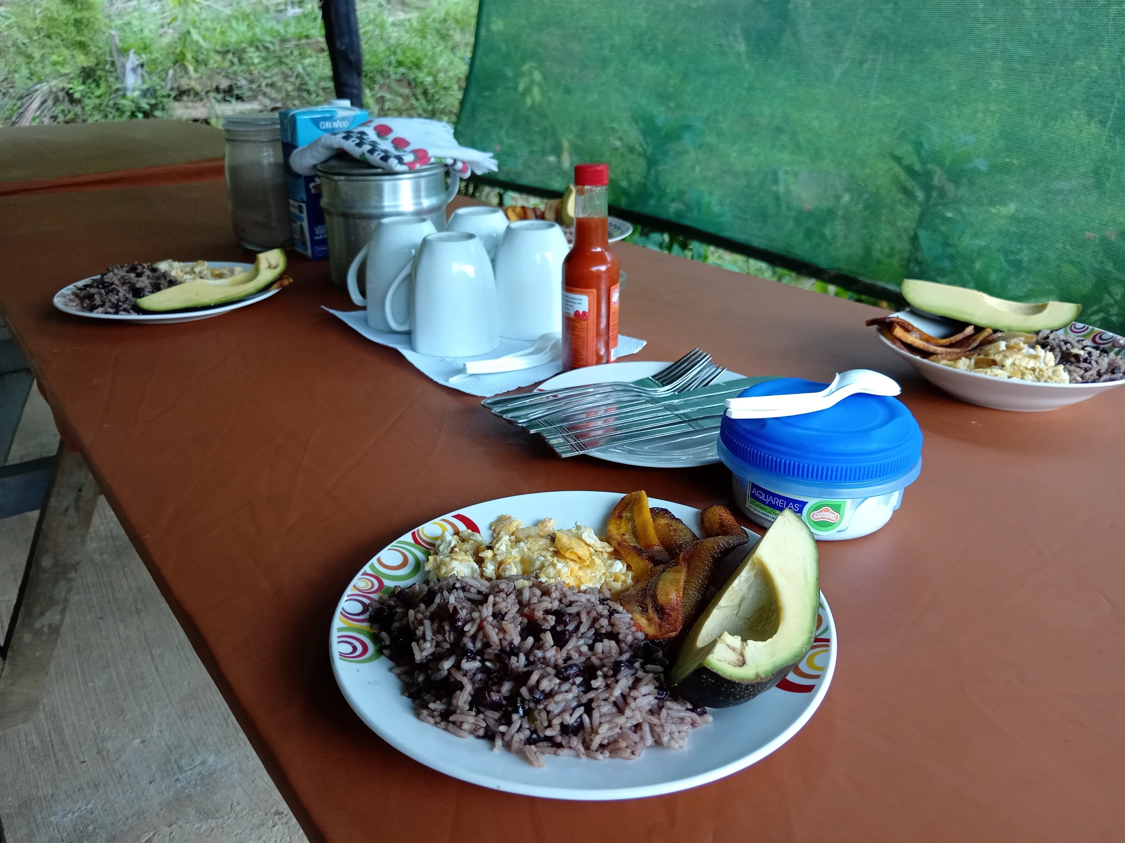 A delicious plate of traditional Costa Rican food.