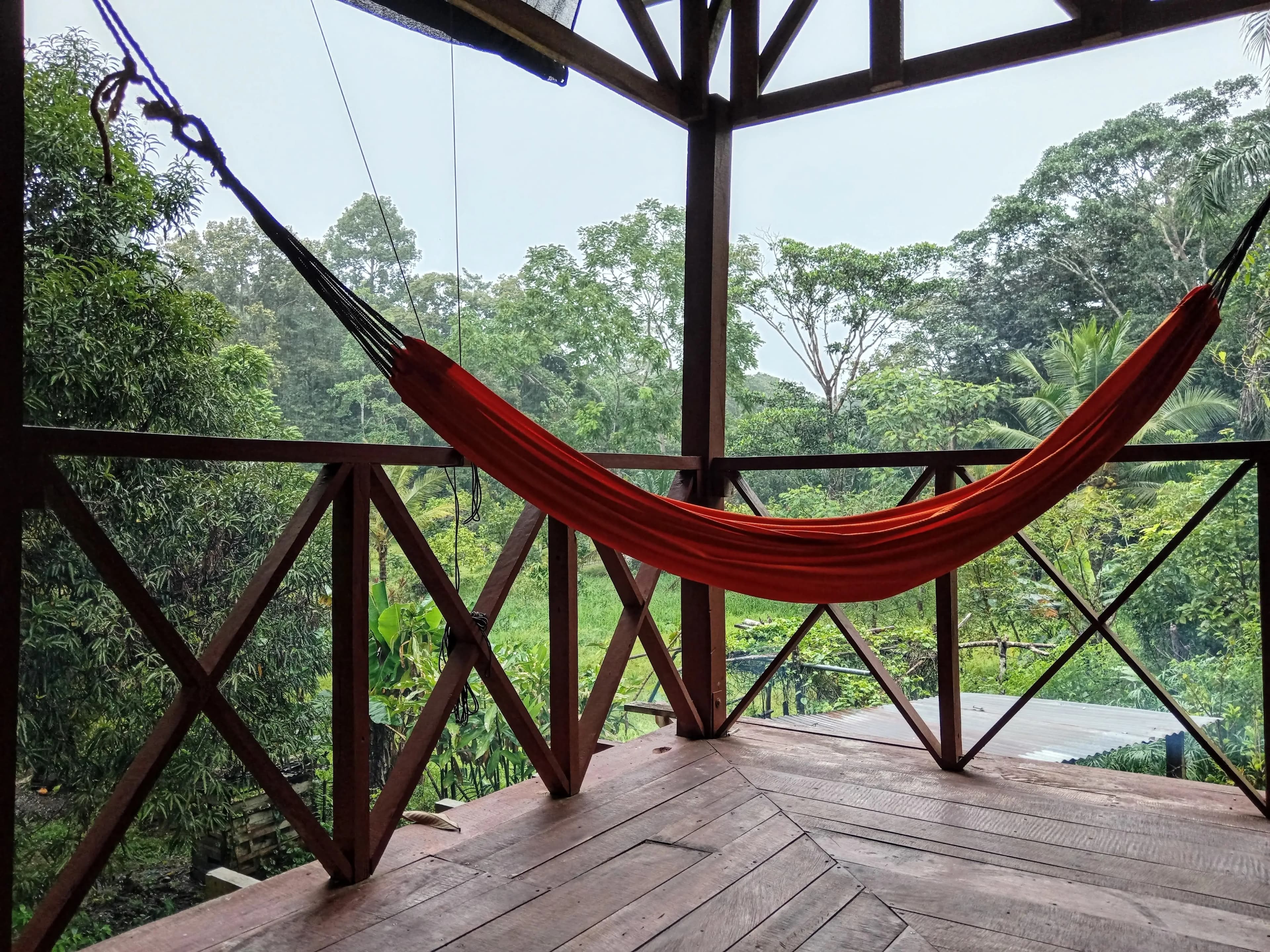 A spacious terrace with hammocks for relaxing and bird watching.