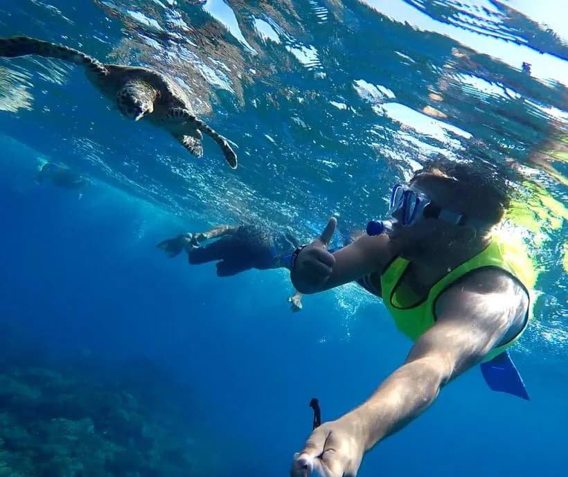 A sea turtle swimming gracefully over a coral reef.
