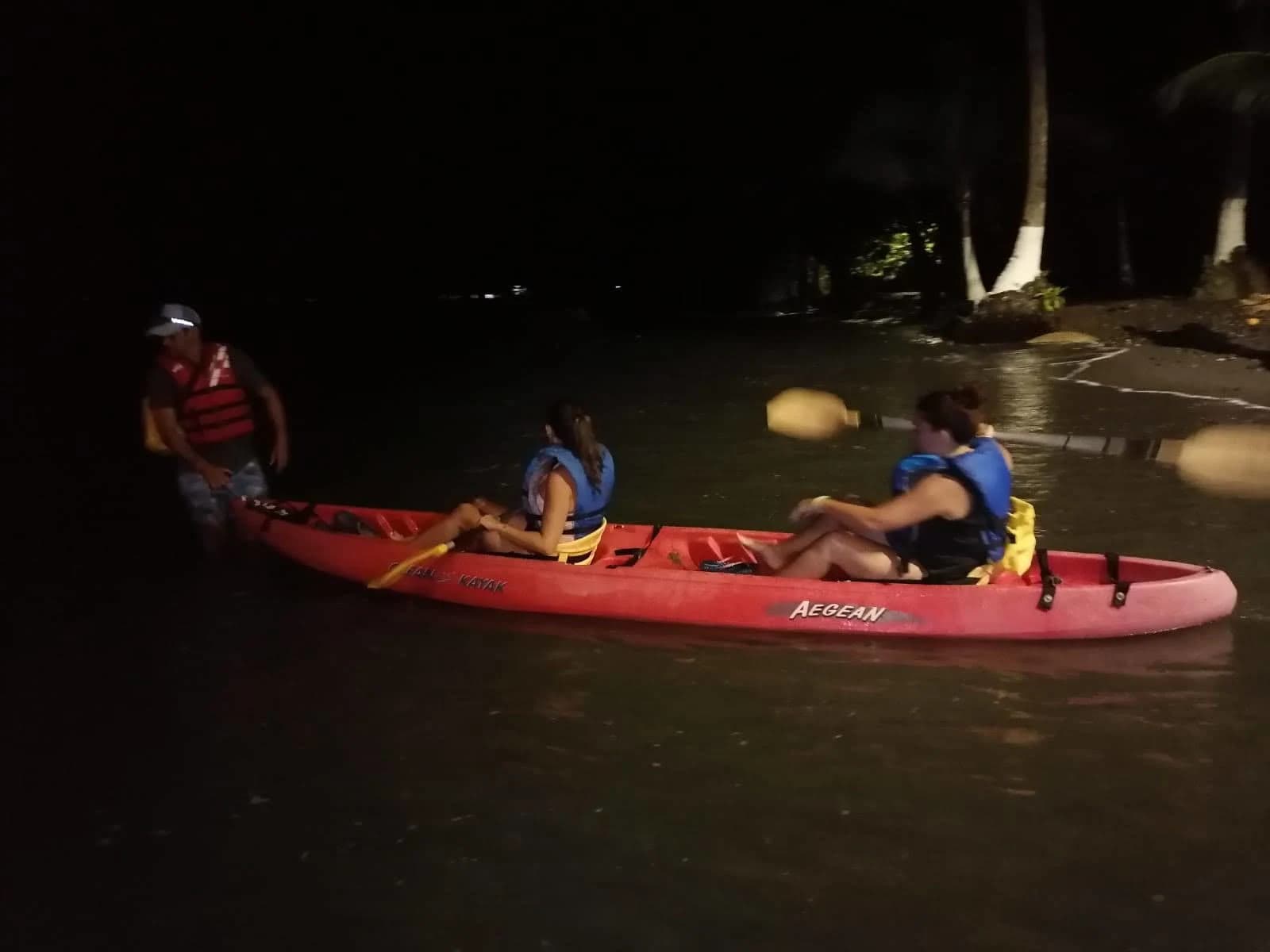 A magical night scene of bioluminescent plankton glowing in the water around a kayak.