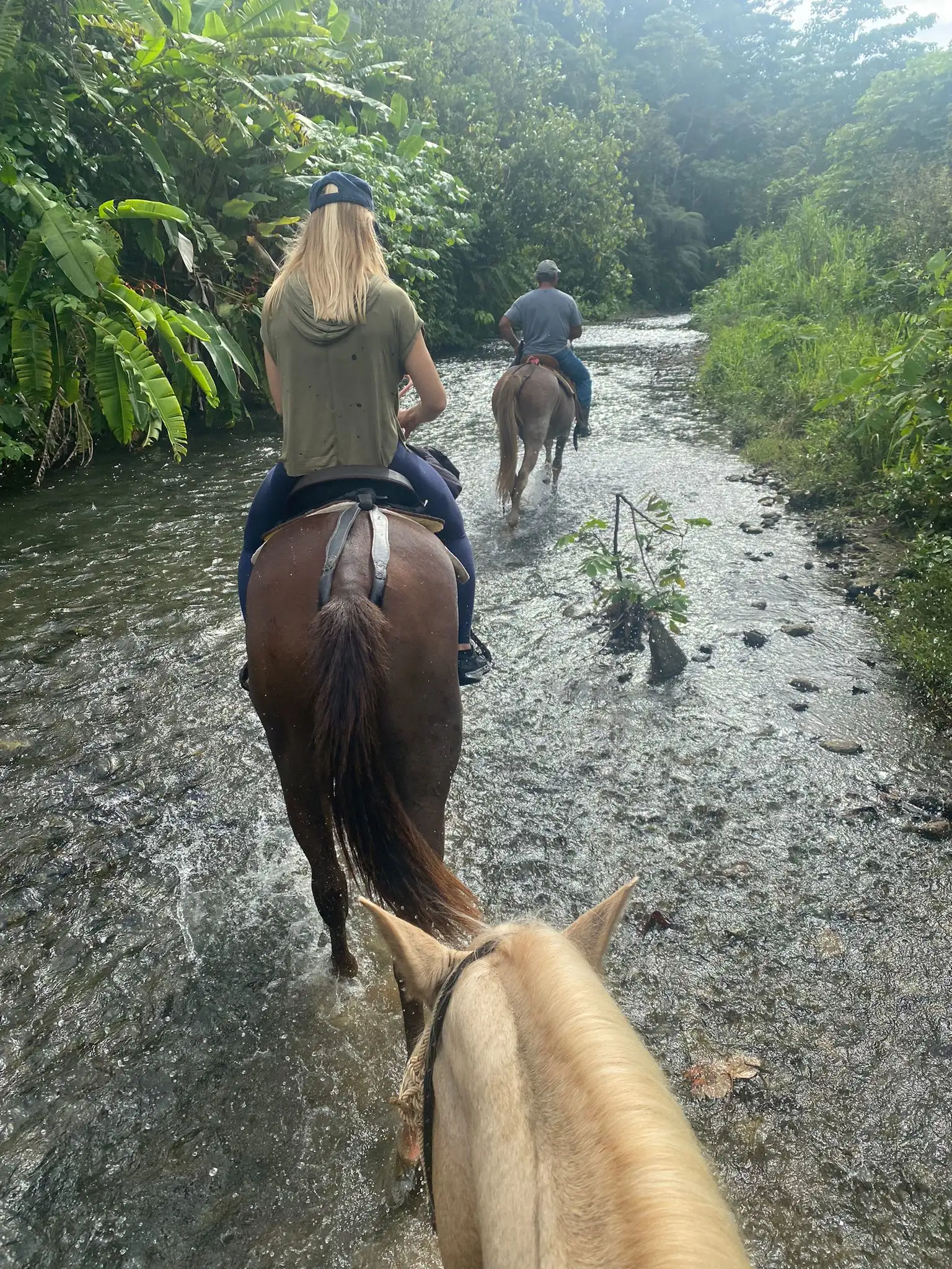 People horseback riding on a trail through a lush green forest.